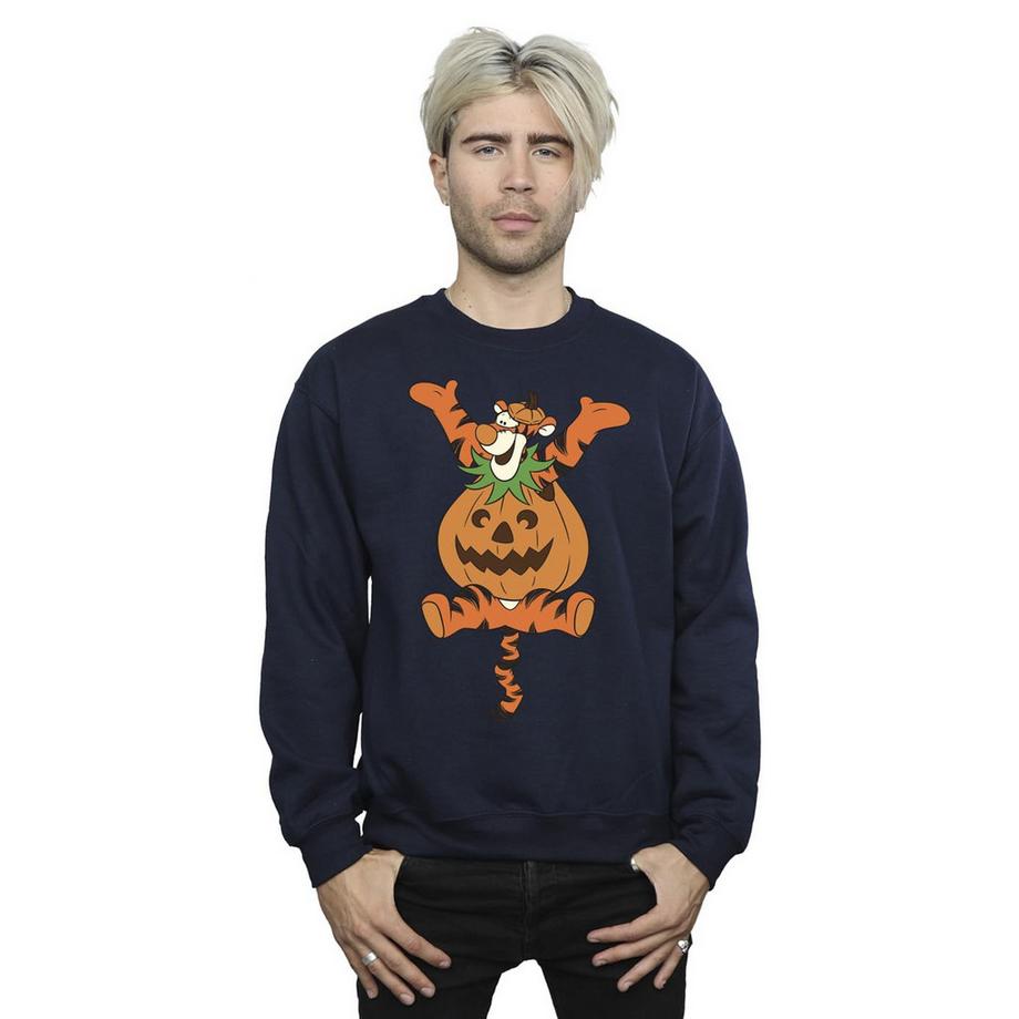 Winnie the Pooh Tigger Zucca Felpa  