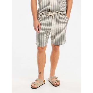 PROTEST Griston Shorts a Righe  