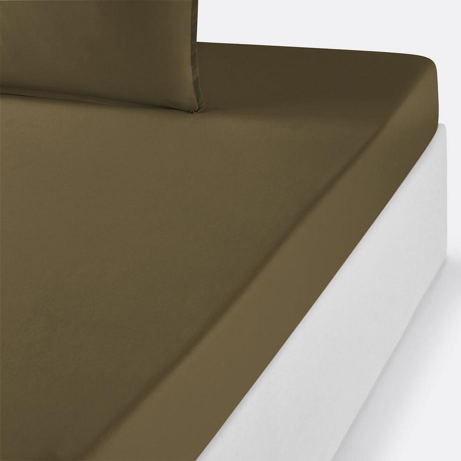 La Redoute Intérieurs Kinder Fixleintuch  