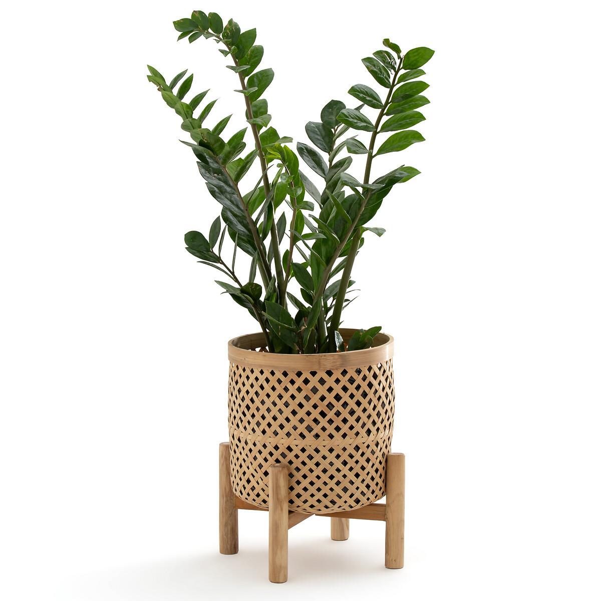 La Redoute Intérieurs Cache-pot sur pied en bambou Ø26 cm Bambu  