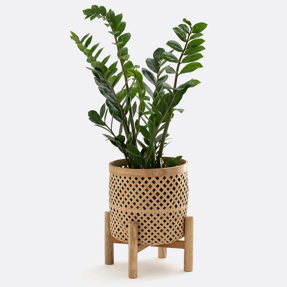 Übertopf Bambu mit Fuss