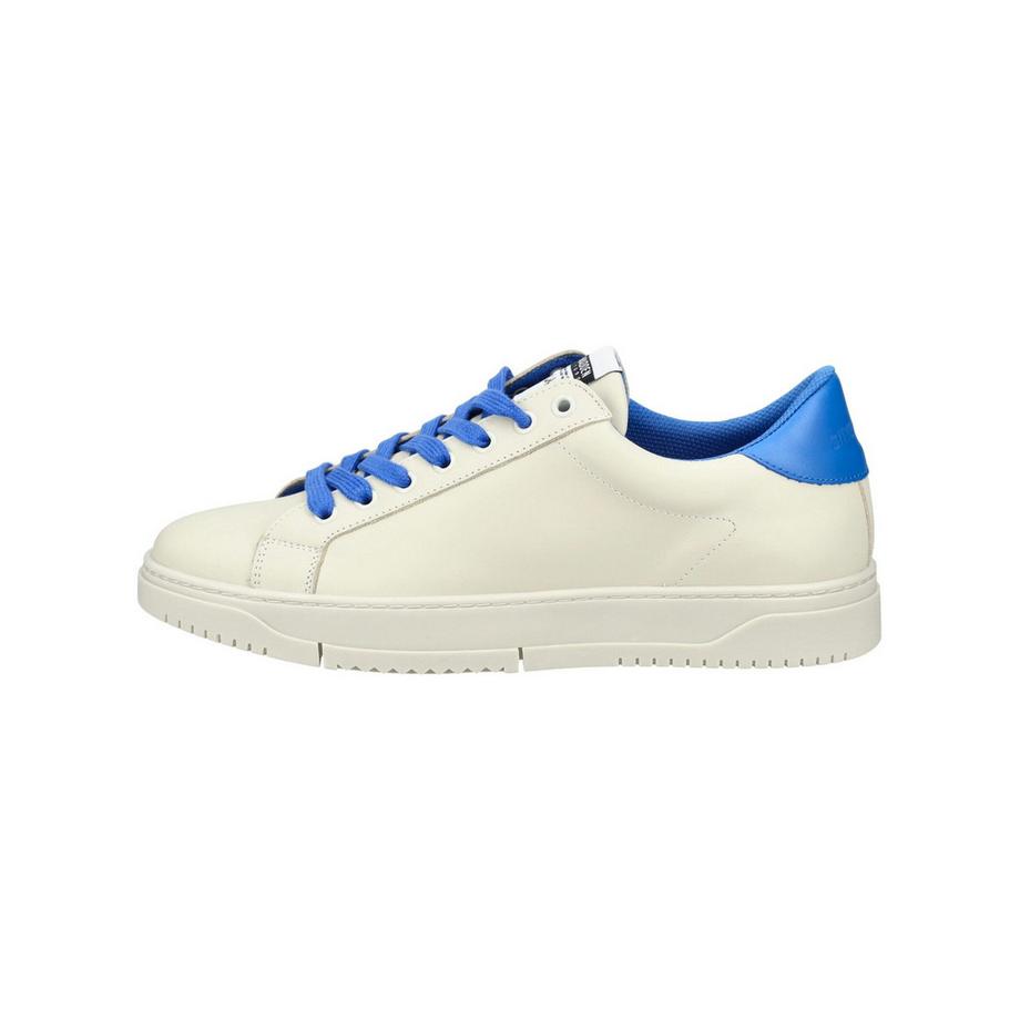 STEVE MADDEN Sneaker en cuir moderne  