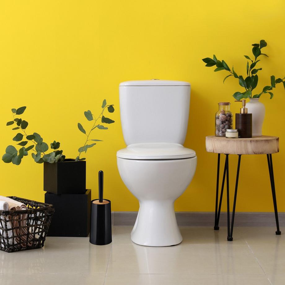 B2X  Brosse de toilette avec récipient 