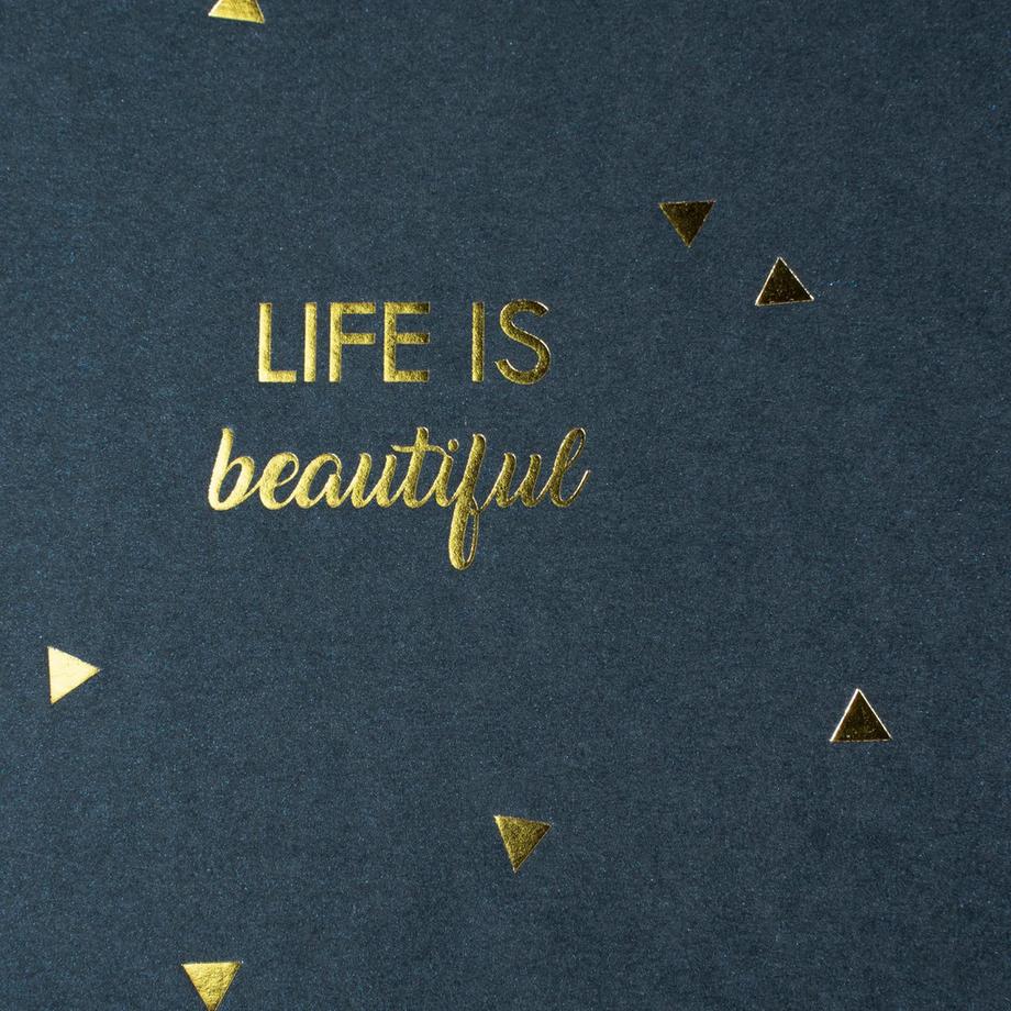 Exacompta Spiralalbum 50 Seiten 32x22cm LIFE  