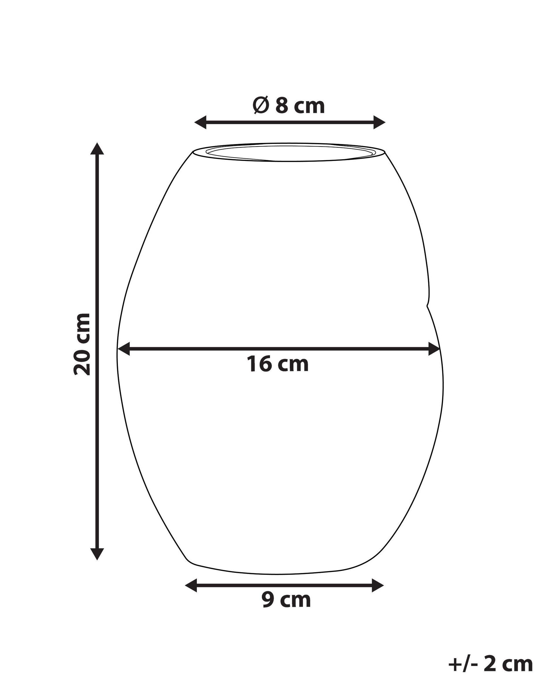 Beliani Vaso da fiori en Vetro Classico GERAKINI  