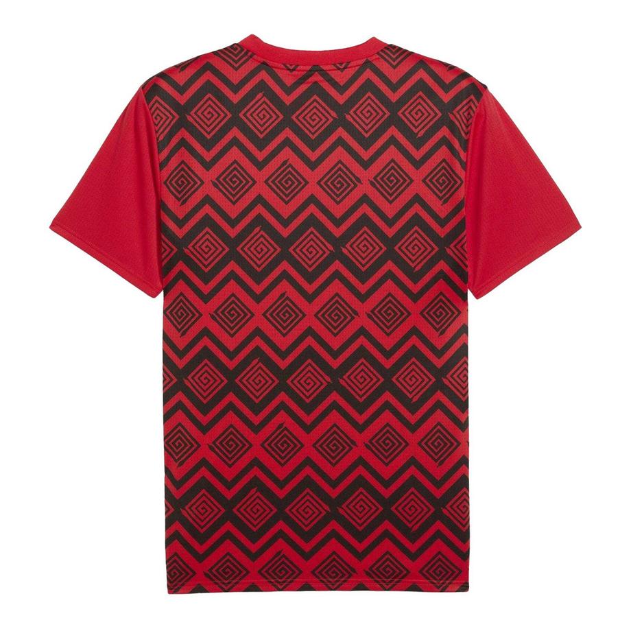 PUMA  Fußballtrikot „the Pharaohs“ Vor Dem Spiel 