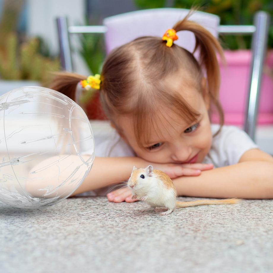 B2X  Balle pour hamster avec couvercle bleu clair 