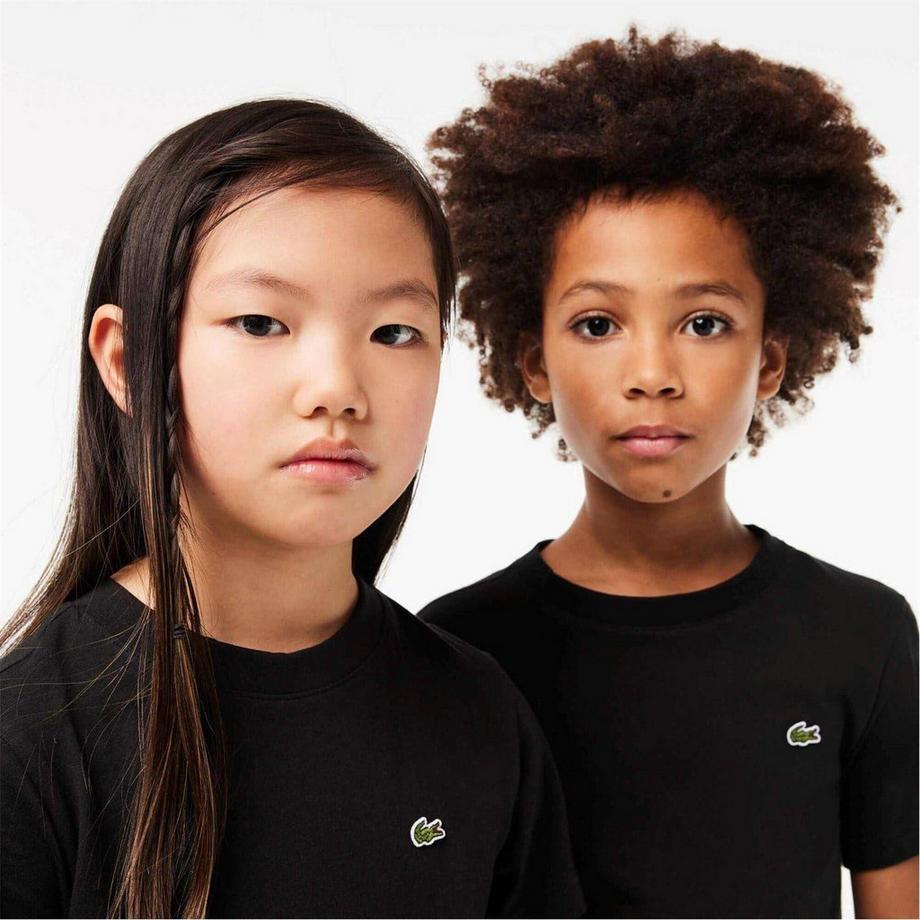 LACOSTE  Basic Maglietta Regolare Ricamato 