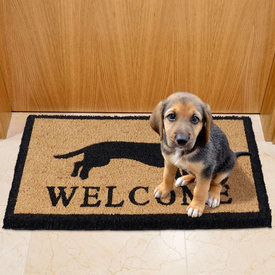 B2X Fußmatte Kokosfaser Dackel  