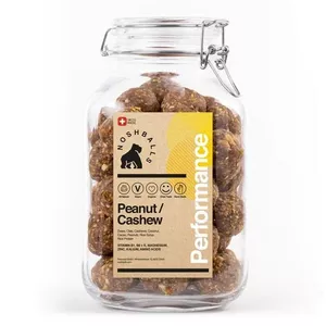 Vegan Bio Protein Rawballs PERFORMANCE - Bocal avec balles (contenu 45x 40grammes)