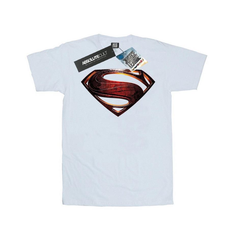 DC COMICS Justice League Superman Logo T-Shirt  