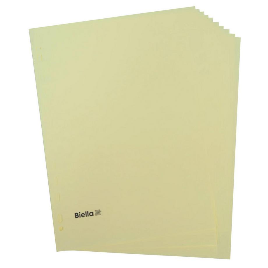 Biella BIELLA Register Karton hellbraun A4 196410.00 10-teilig, blanko, 4 Loch  