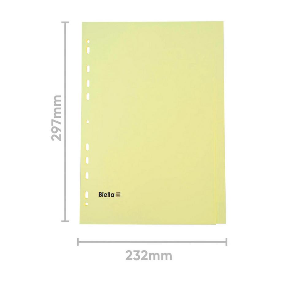 Biella BIELLA Register Karton hellbraun A4 196410.00 10-teilig, blanko, 4 Loch  