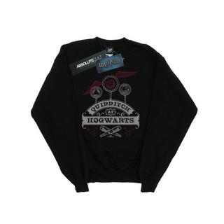 Harry Potter Quidditch At Hogwarts Sweatshirt  