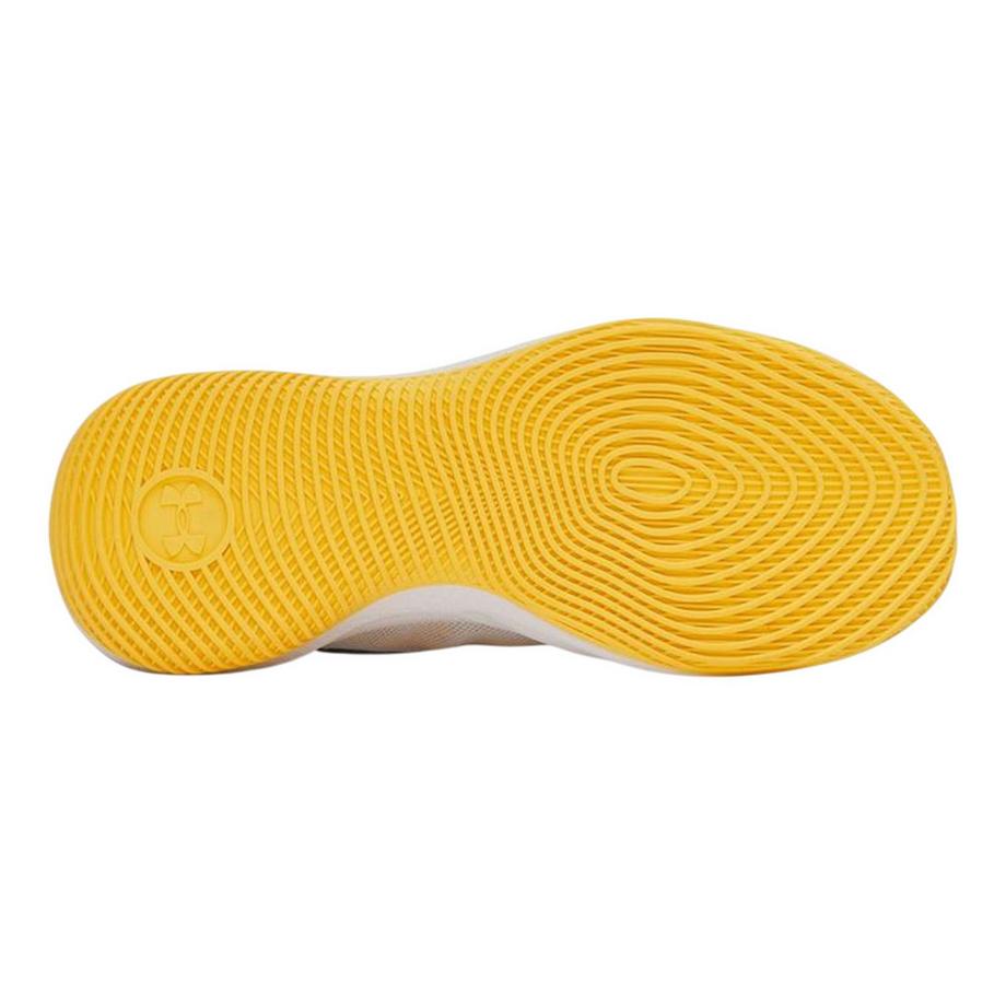 UNDER ARMOUR Baskets Basketball Curry Splash 25  