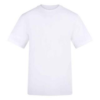 AWDis T-Shirt Regular Fit  