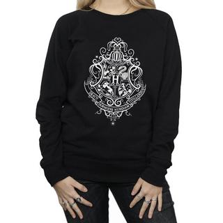 Harry Potter  Sweat HOGWARTS DRACO DORMIENS 