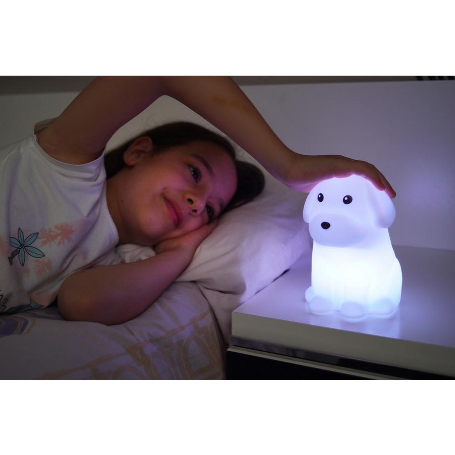 STARLYF CUSHY LIGHT SET DINO + DOG - Ensemble de 2 pièces veilleuse et éclairage d'ambiance (chien et dinosaure)  