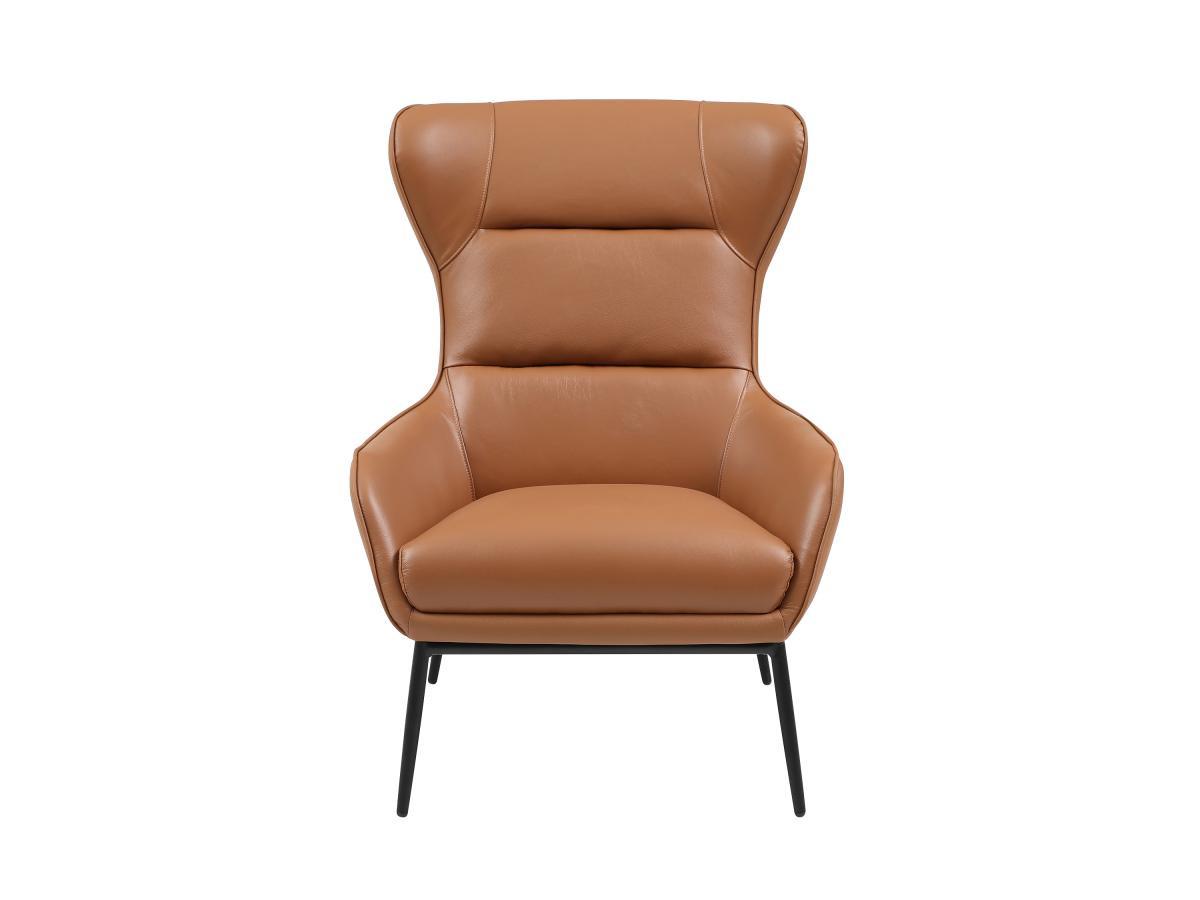 Vente-unique Sessel aus camelfarbenem Büffelleder - DINNIA  
