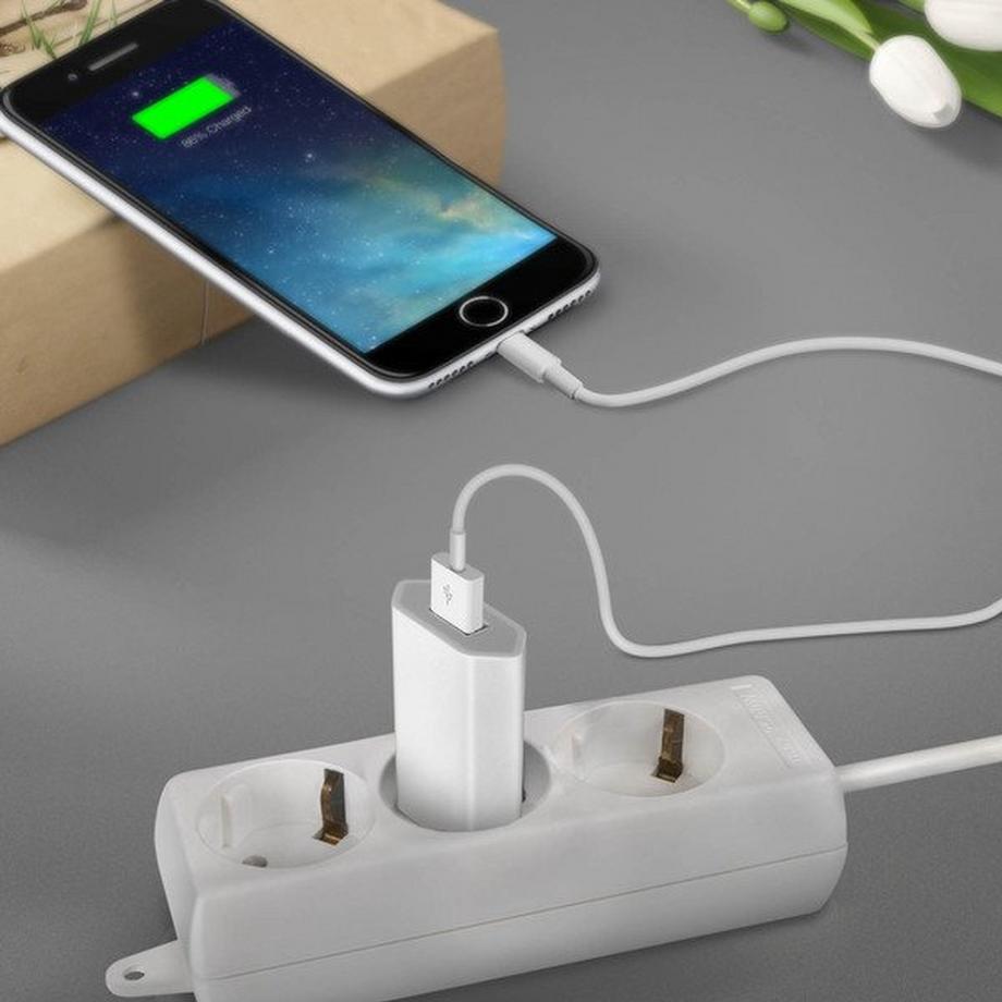 Avizar  USB Wand Ladegerät Lightning Kabel 