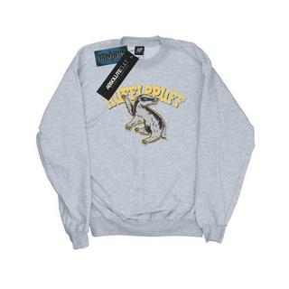 Harry Potter  Hufflepuff Sweatshirt 