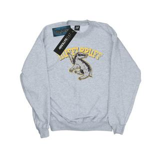 HARRY-POTTER  Sweat HUFFLEPUFF 