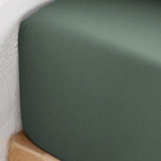 La Redoute Intérieurs Scenario Lenzuolo con Angoli in Cotone Biologico Tinta Unita  