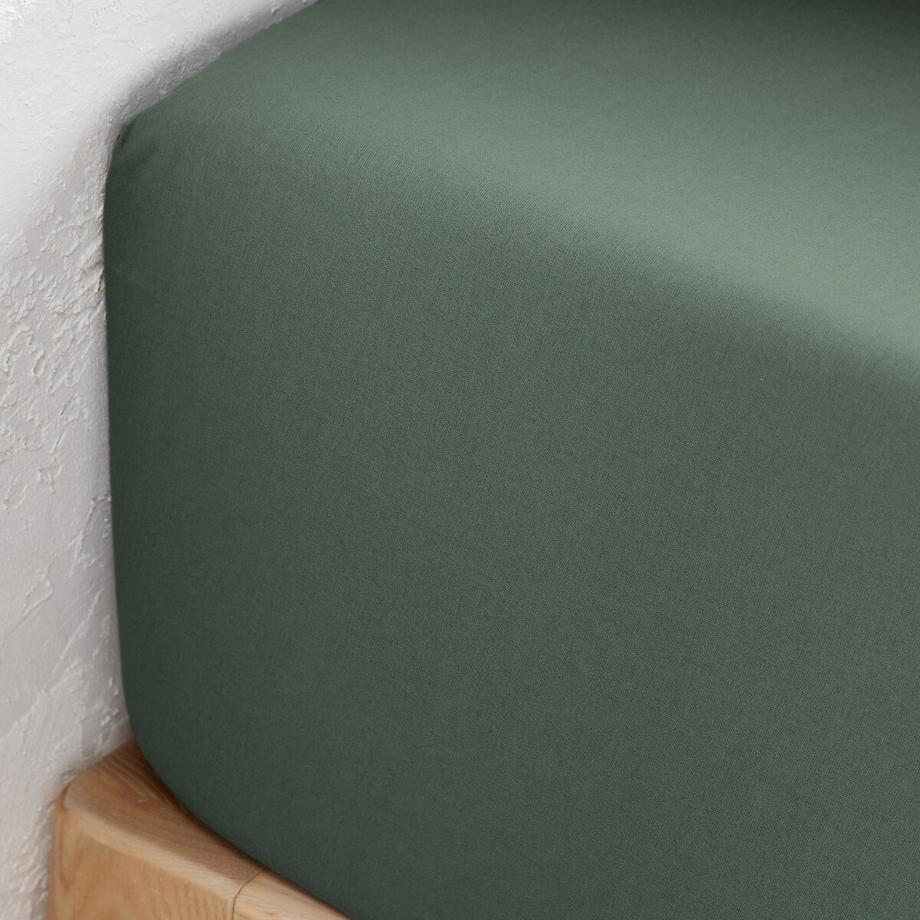 La Redoute Intérieurs Scenario Bio-Baumwolle Unifarbenes Fixleintuch  