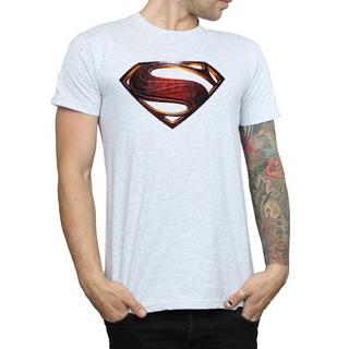 SUPERMAN Distressed Logo T-Shirt  