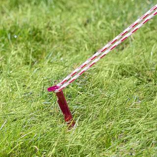 Pricenet  Piquet de tente 18,5cm aluminium nervuré 