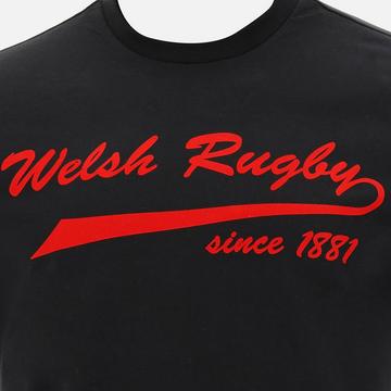 Baumwoll-T-Shirt Pays de Galles rugby 202021