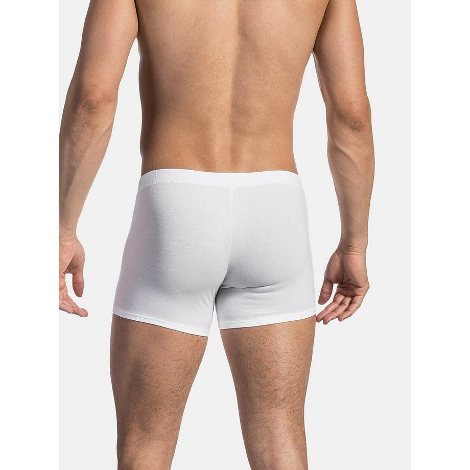 Olaf benz RED1601 Boxer  