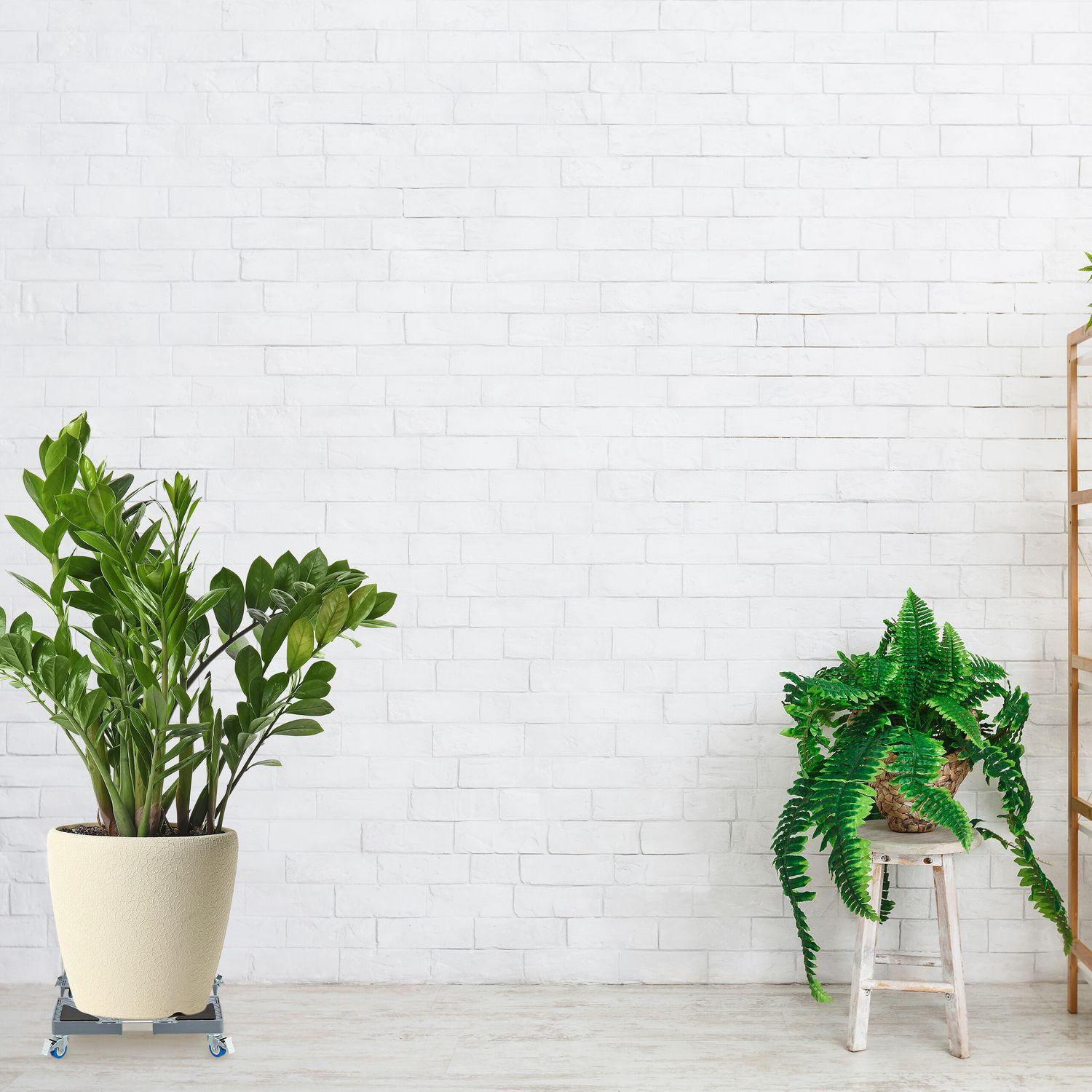 Northix Rouleau à plantes carré extensible  