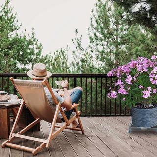 Northix Rouleau à plantes carré extensible  