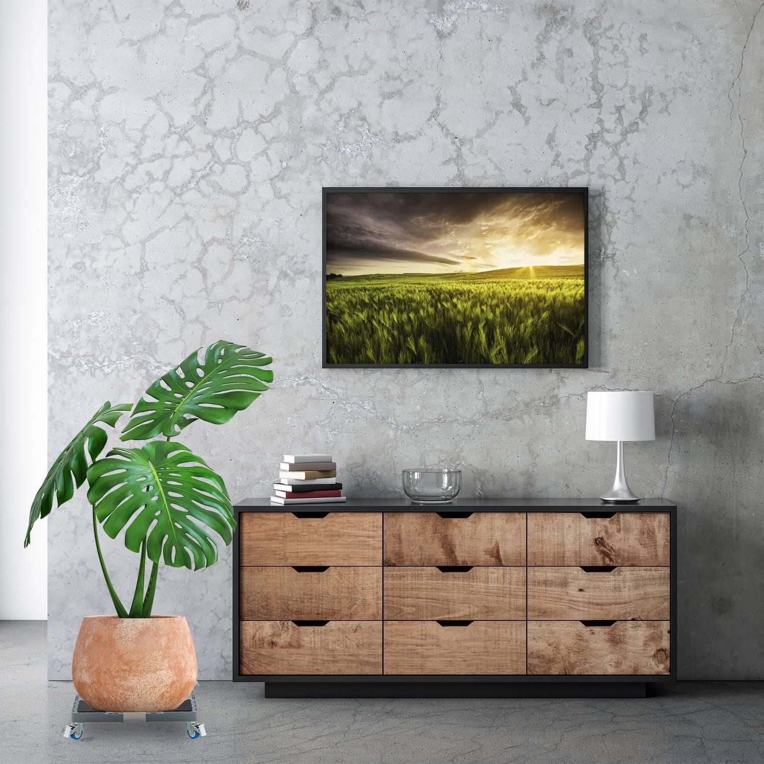 Northix Rouleau à plantes carré extensible  