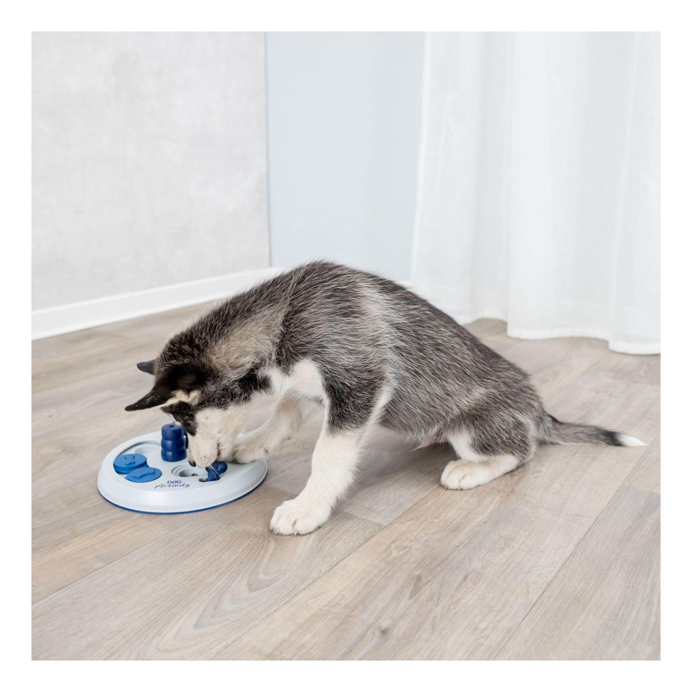 Activity-board  Hundeaktivitäts-Strategiespiel 