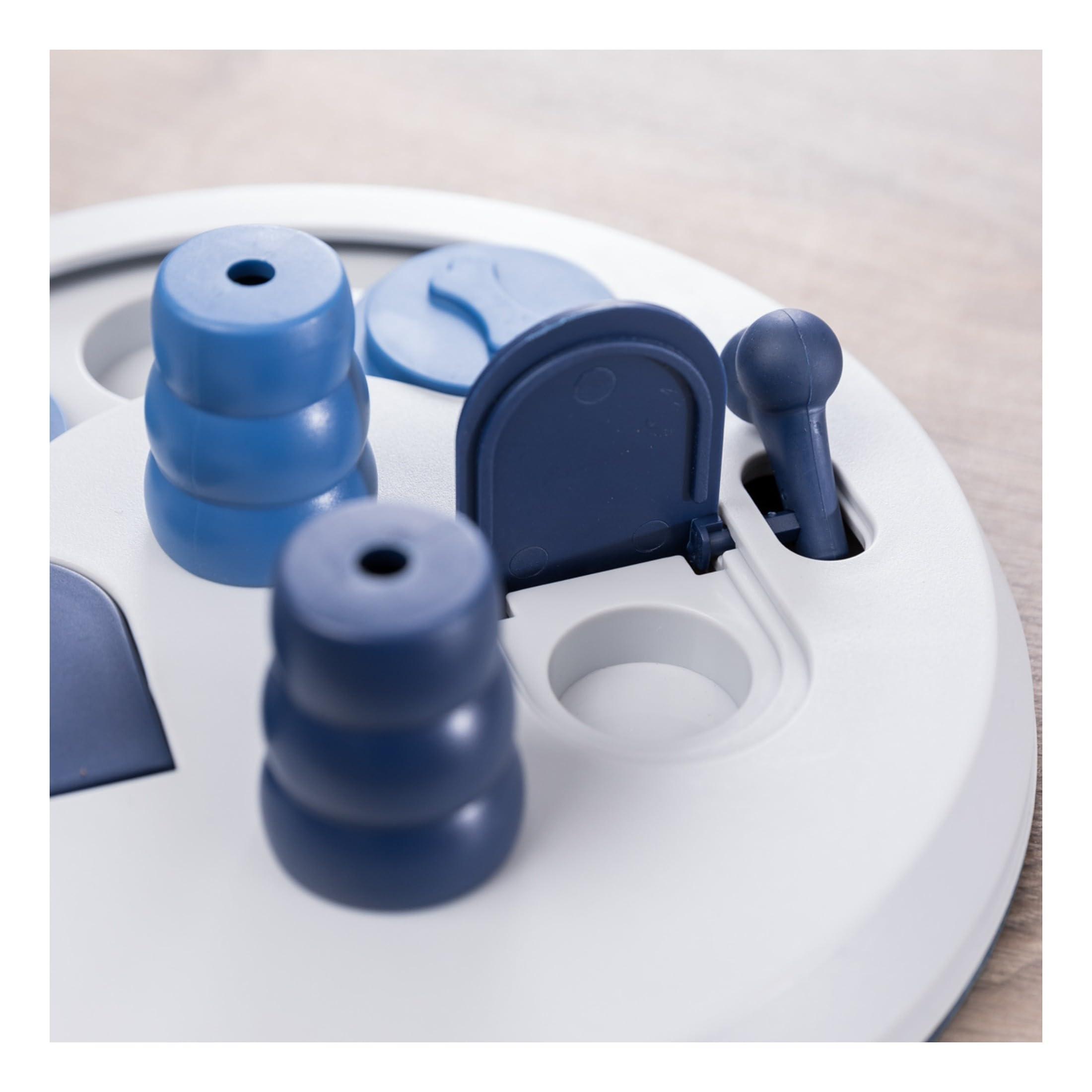 Activity-board  Hundeaktivitäts-Strategiespiel 