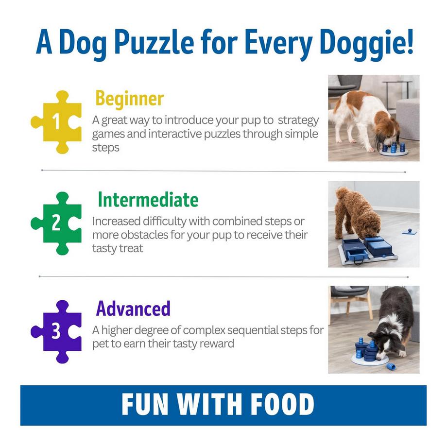 Activity-board  Hundeaktivitäts-Strategiespiel 