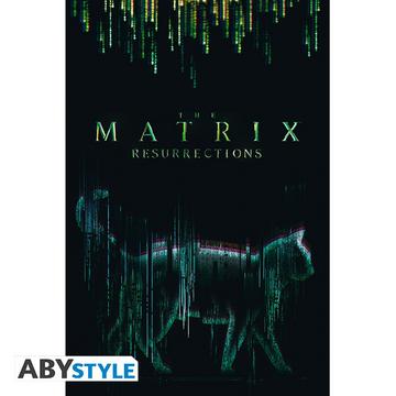 Poster - Gerollt und mit Folie versehen - Matrix - Deja-Vu