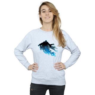 Harry Potter Grafikdruck Sweatshirt  