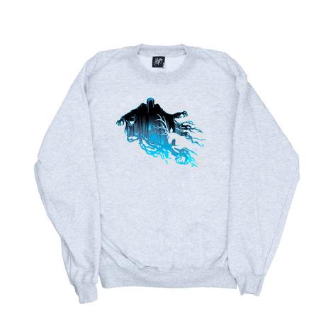 Harry Potter Grafikdruck Sweatshirt  