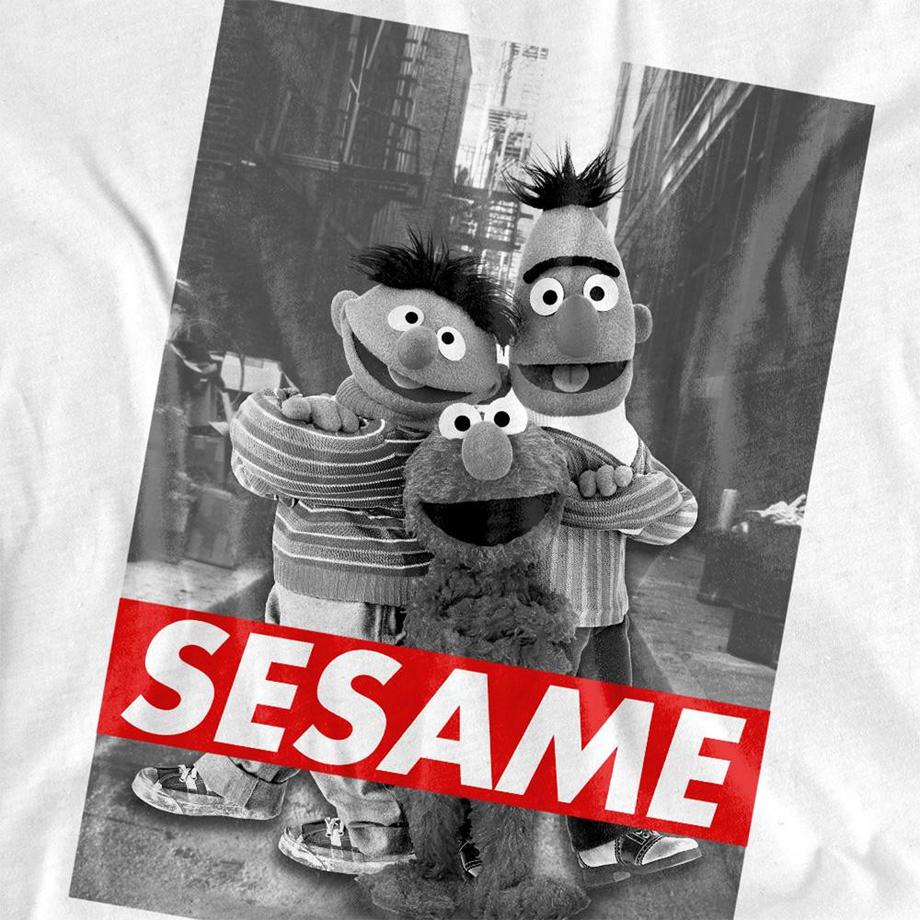 Sesame Street T-Shirt Sesame  