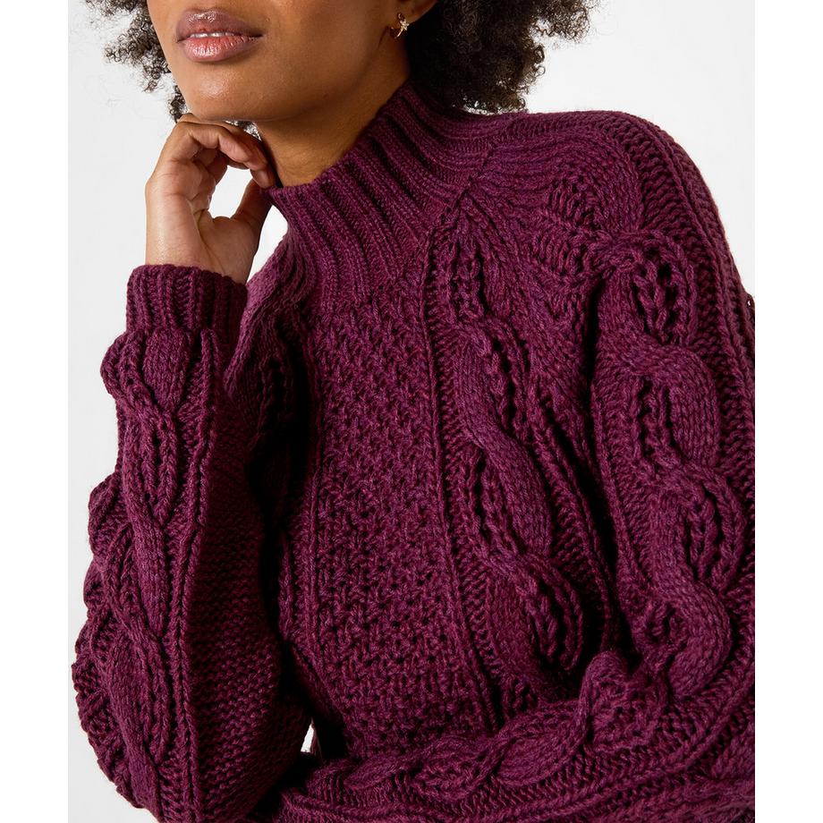 Joe Browns Zopfstrick-Pullover mit Stehkragen  