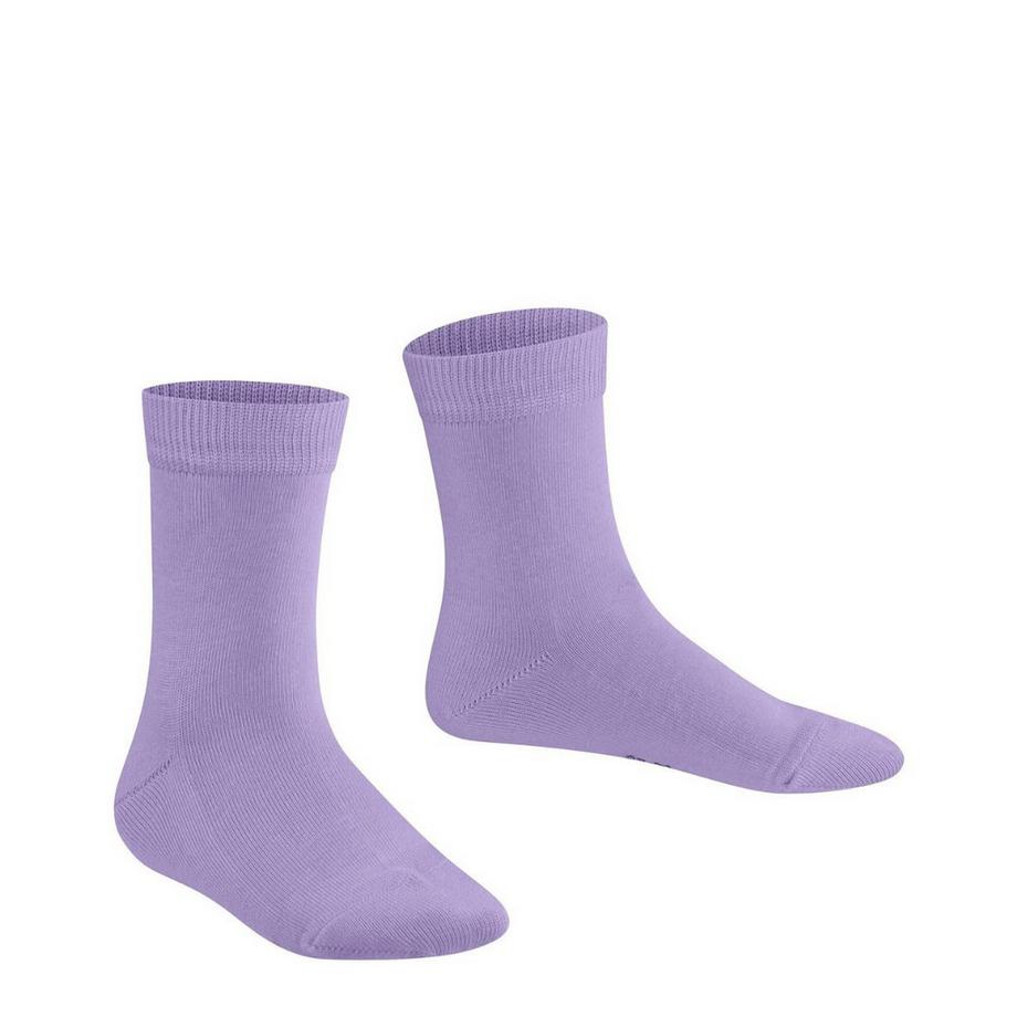 FALKE FAMILY SO-31-34  