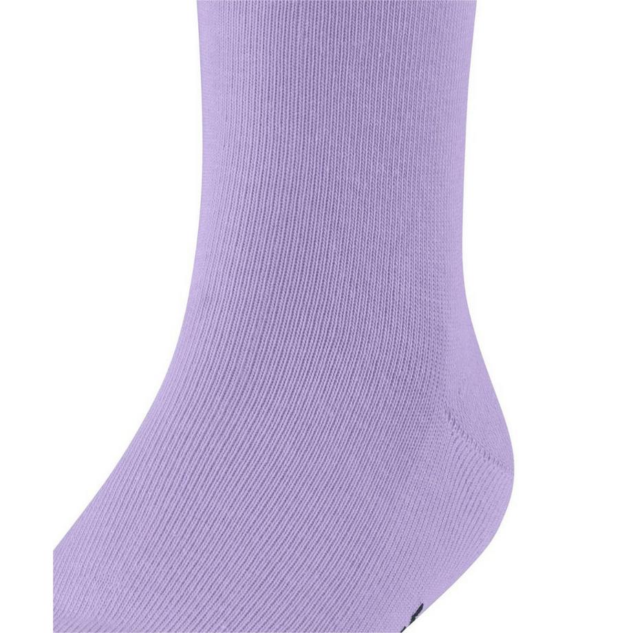 FALKE FAMILY SO-31-34  