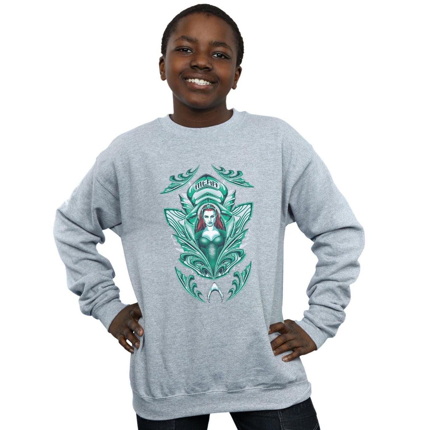 DC COMICS  Sweatshirt 