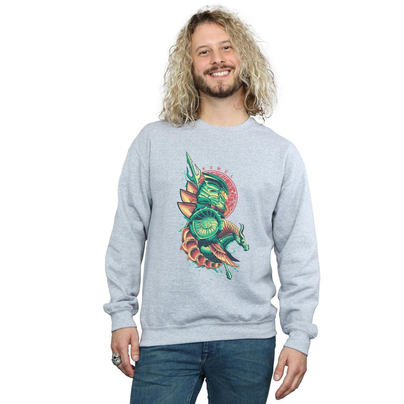 DC COMICS Sweatshirt Imprimé Xebel  