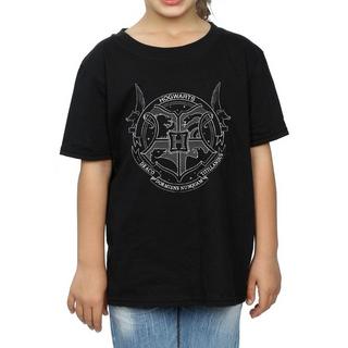 Harry Potter  Hogwarts TShirt 