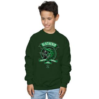 Harry Potter  Slytherin Sweatshirt 