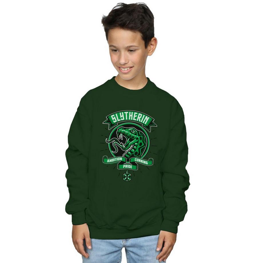 Harry Potter  Slytherin Sweatshirt 